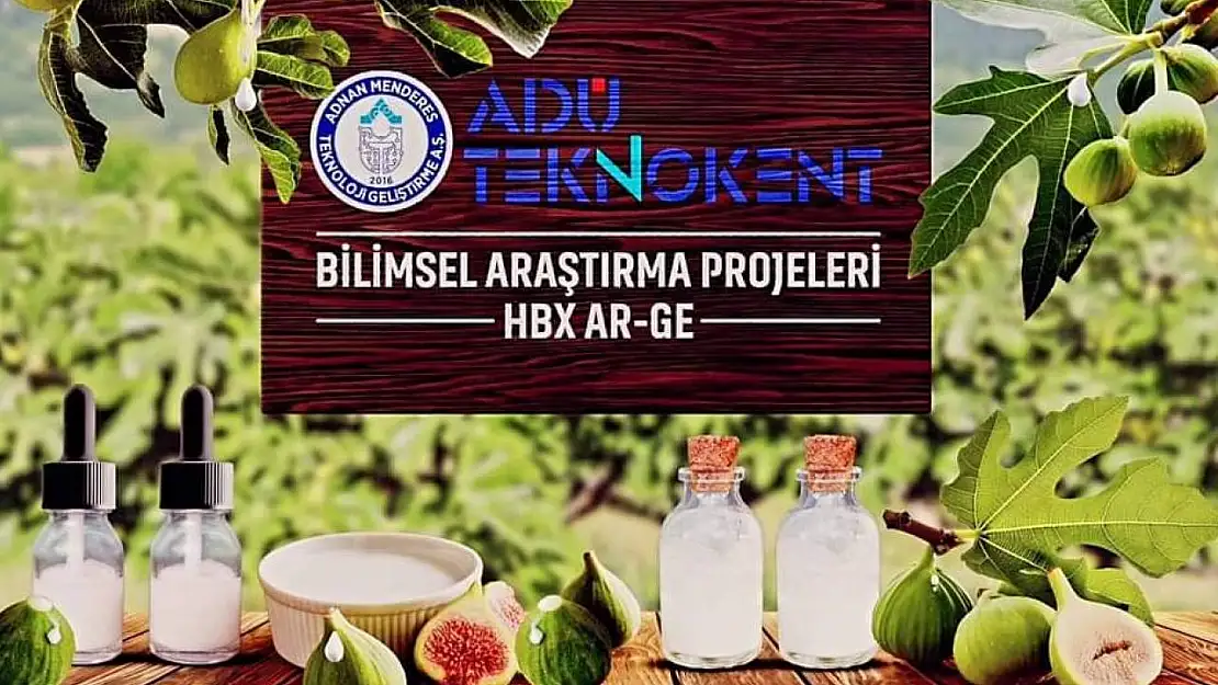 İğlek sütü molekülleri sentezlendi çıkan sonuçlar şaşırttı