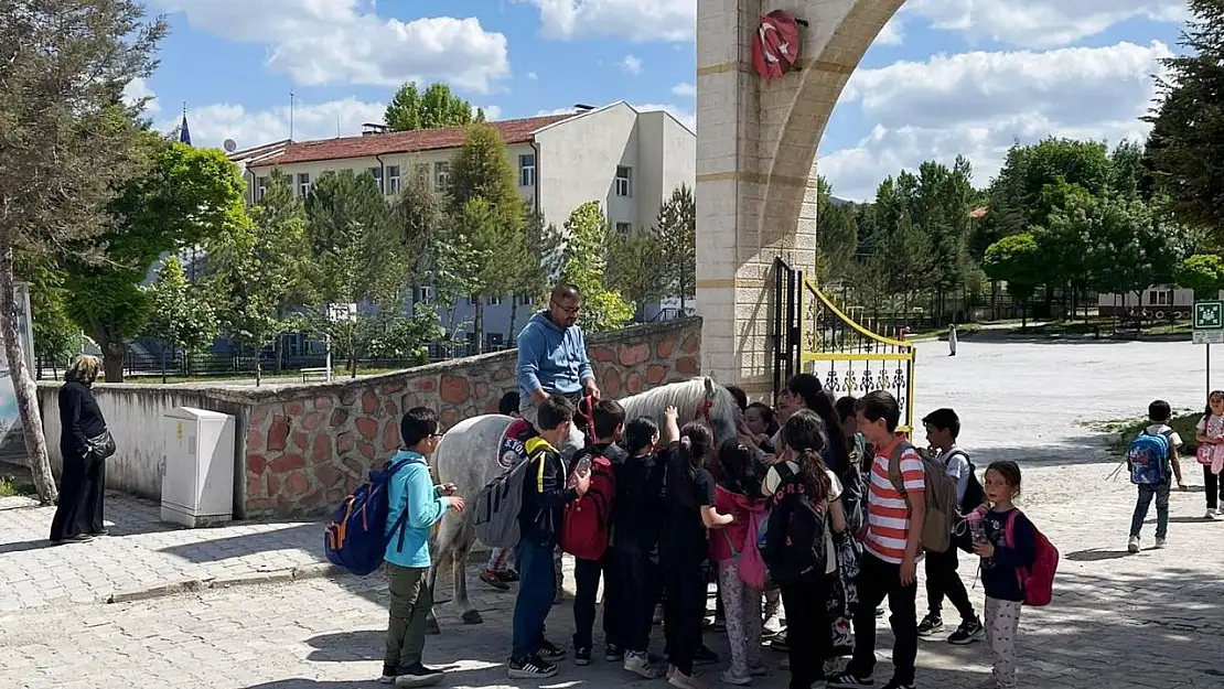 İlkokul öğrencilerinin at sevgisi