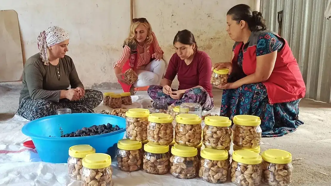 İncirköy Mahallesi'nde hasat dönemi sona erdi