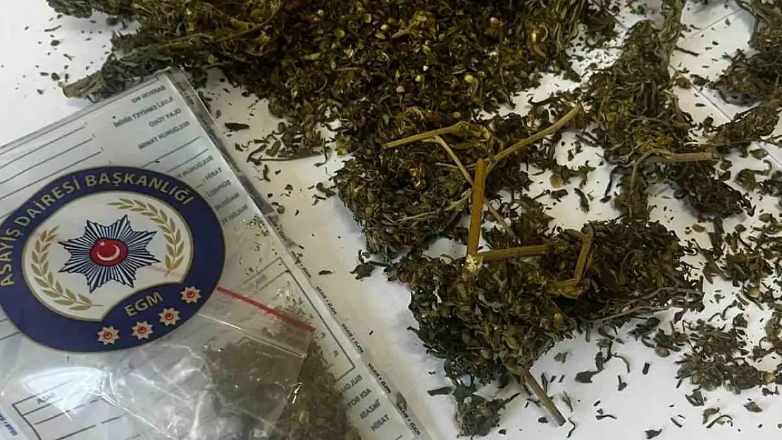 İncirliova'da iki şüphelinin üzerinde uyuşturucu madde çıktı