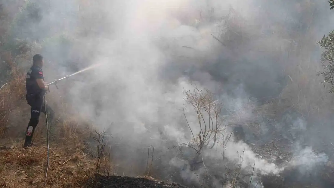 İtfaiyenin hızlı müdahalesi alevlerin antik kente ulaşmasını önledi