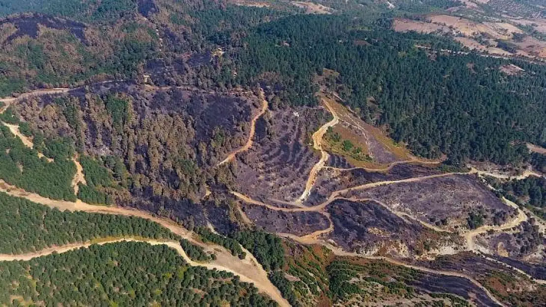 İvrindi'de 57 fidan toprakla buluştu