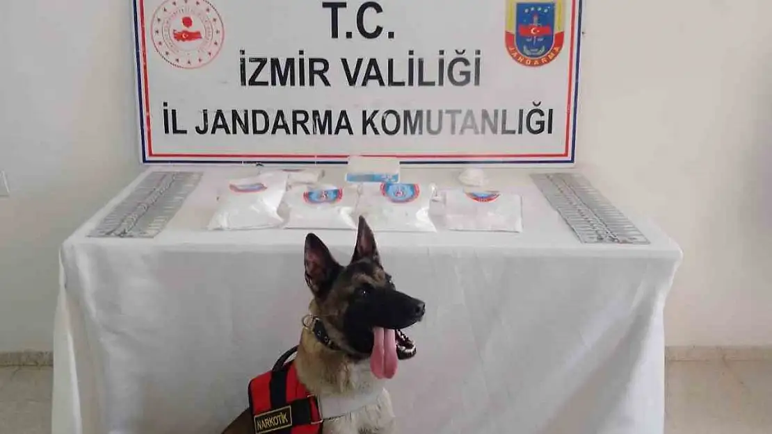 İzmir'de 2,5 kiloya yakın kokain ele geçirildi