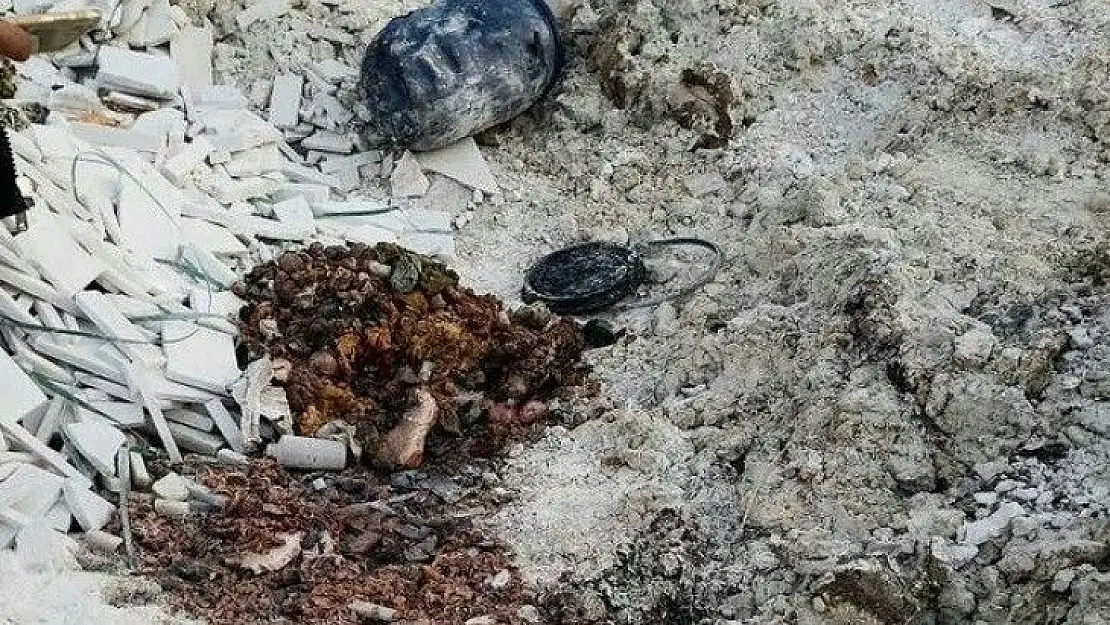 İzmir'de boş arazide insan vücudu parçaları bulundu