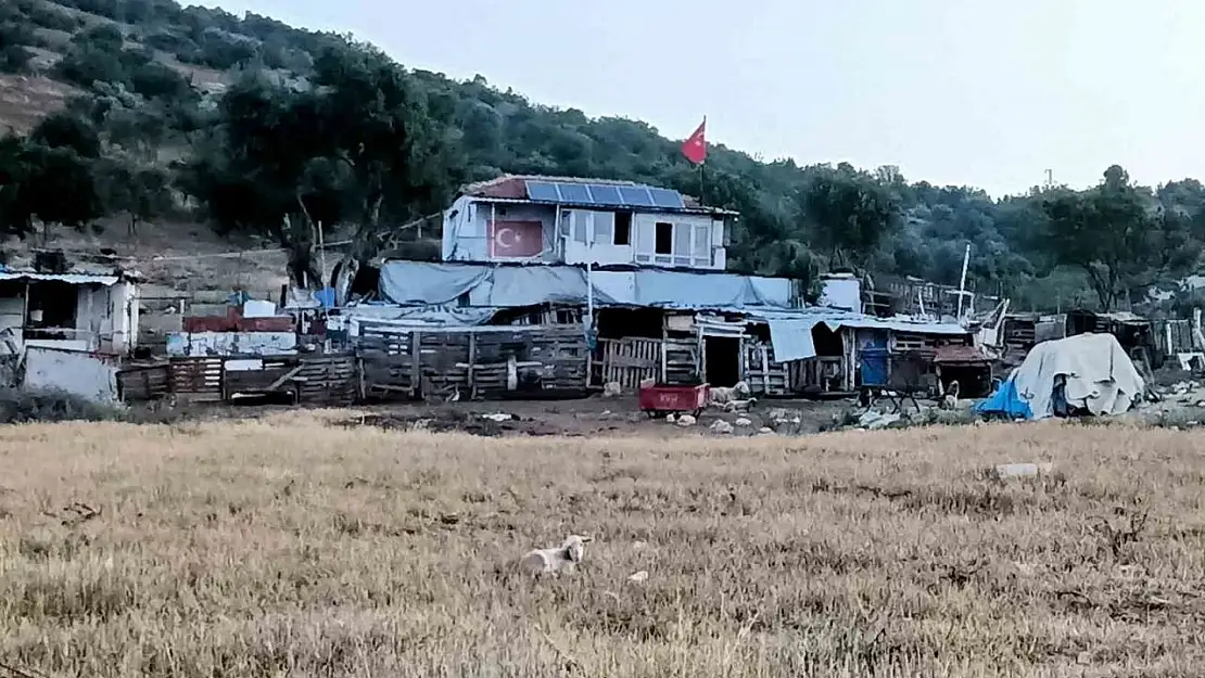 İzmir'de çiftlik evinde korkunç cinayet