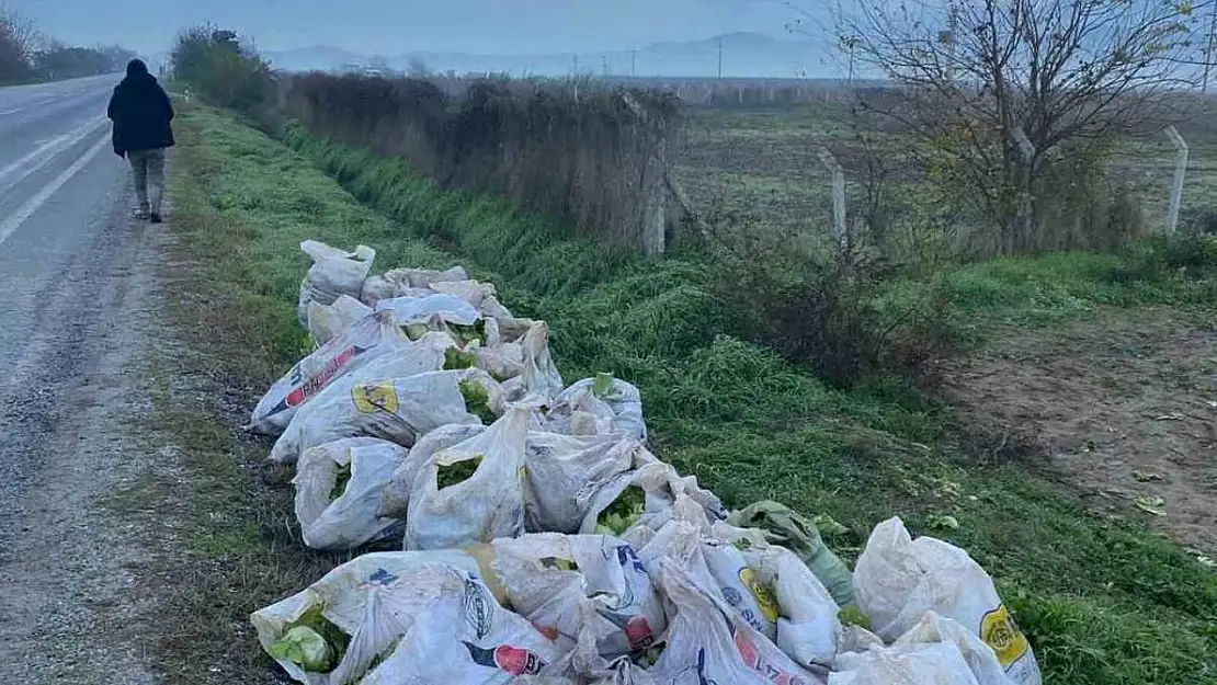 İzmir'de çuval çuval marul çalan 3 şüpheli tutuklandı