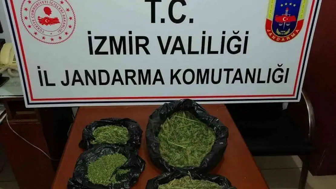 İzmir'de jandarmadan 6 ilçede uyuşturucu operasyonu