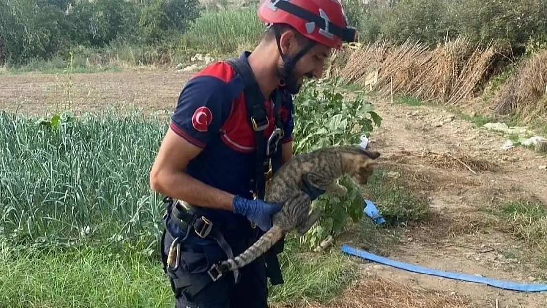 İzmir'de kuyuya düşen kediyi itfaiye kurtardı