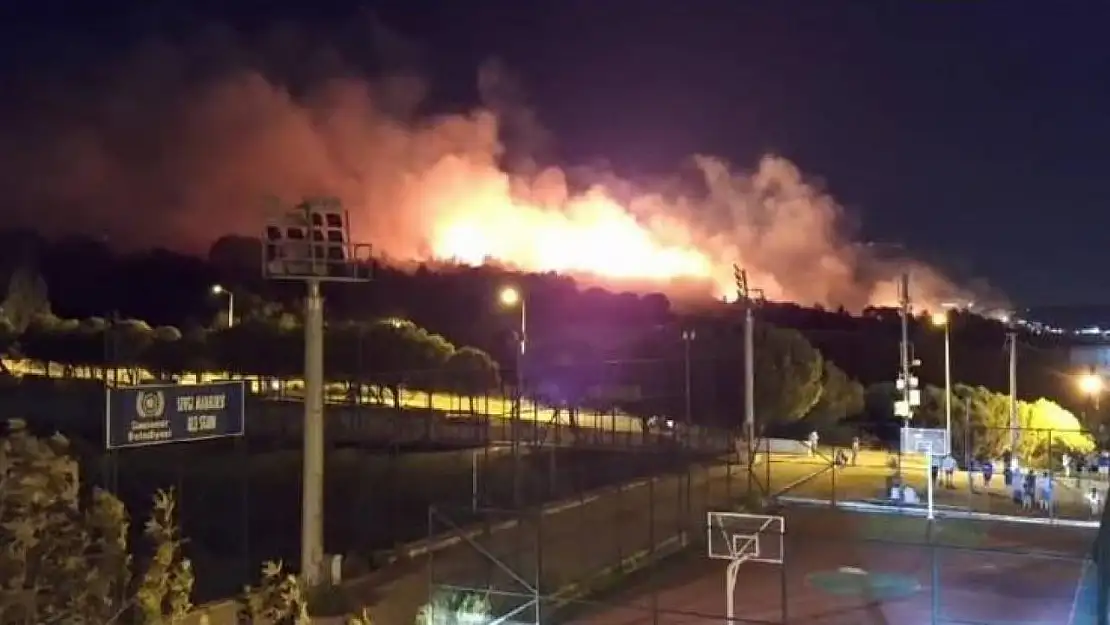 İzmir'de orman yangını