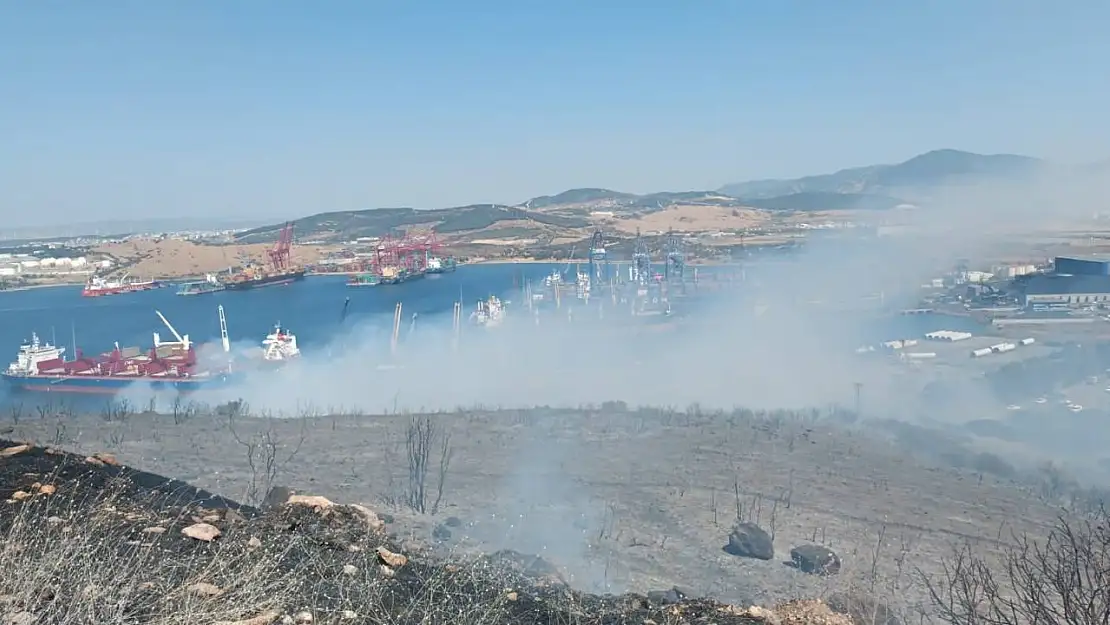 İzmir'de orman yangını