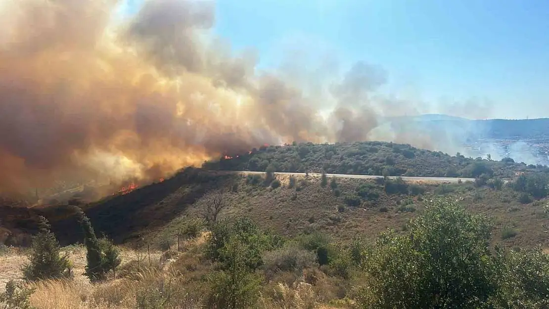 İzmir'de ormana sirayet eden yangına havadan ve karadan müdahale