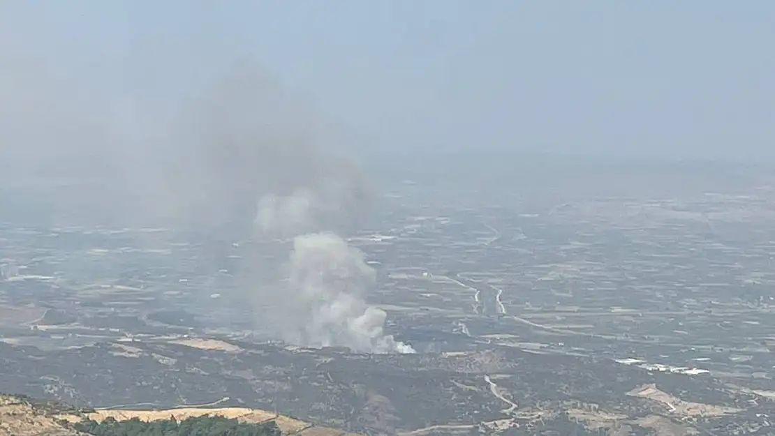 İzmir'de ormanlık alanda yangına havadan ve karadan müdahale başladı