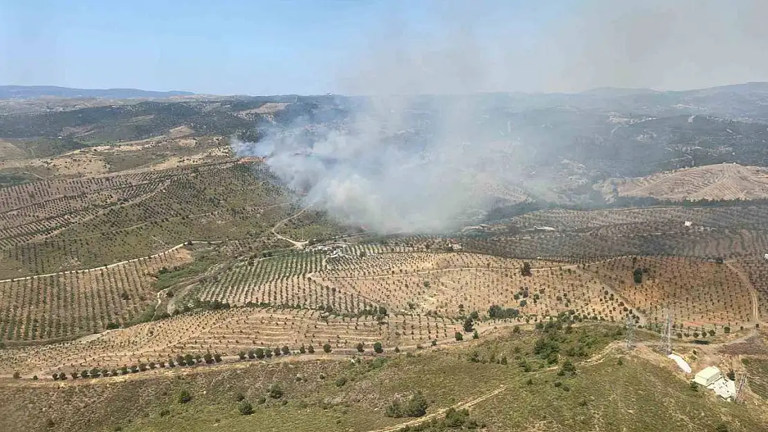 İzmir'de ormanlık alanda yangına havadan ve karadan müdahale başladı