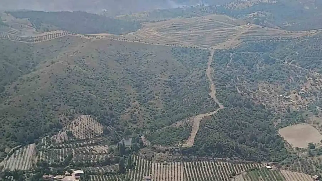 İzmir'de ormanlık arazide çıkan yangın kontrol altında