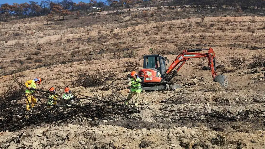 İzmir'de yanan ormanlık alana 1 milyon 100 bin fidan dikilecek