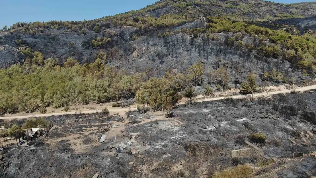 İzmir'de yanan yerler havadan görüntülendi