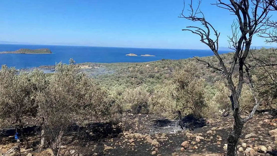 İzmir'deki orman yangını kontrol altında