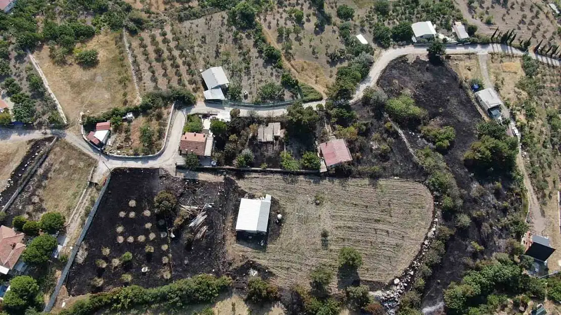 İzmir'deki orman yangının boyutu gün ağarınca ortaya çıktı