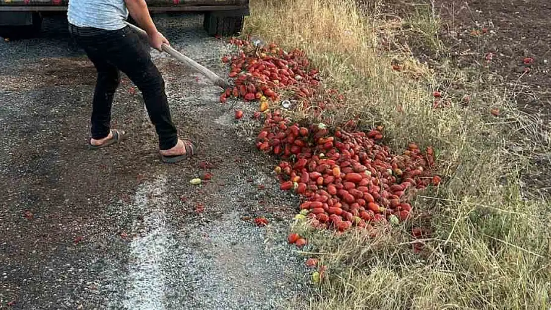 İzmir'deki yangını söndüren itfaiye erleri, Manisa'da yola saçılan domatesleri temizledi