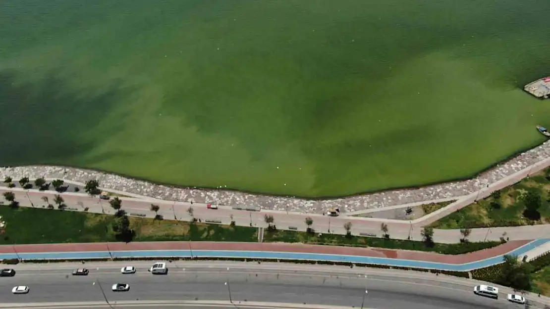 İzmir'in iki ilçesinde denizin rengi değişti, kötü koku yayıldı