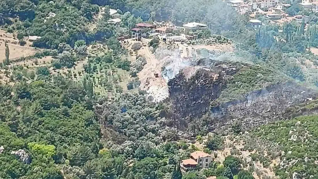 İzmir Kemalpaşa'da orman yangını
