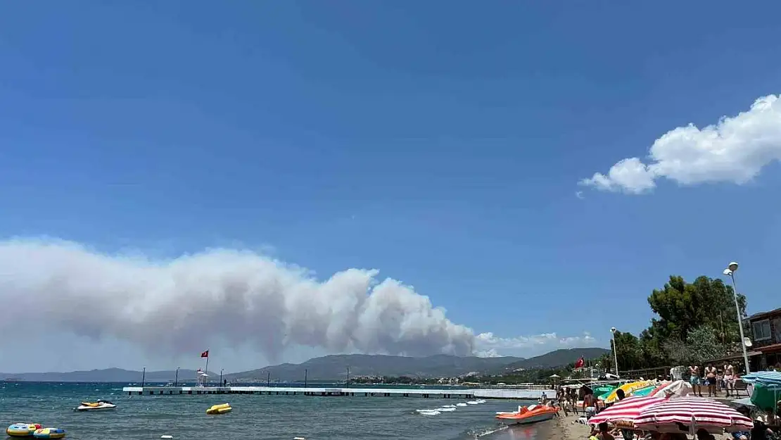 İzmir Menderes'te orman yangını