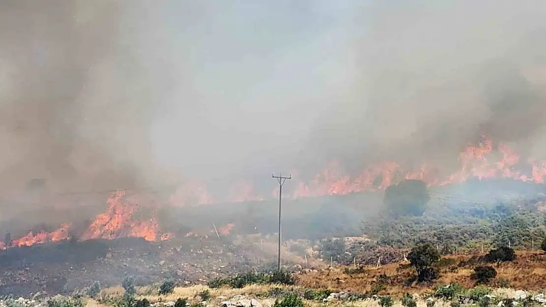 İzmir Menderes'teki yangının ardından bir yangın da Çeşme'de başladı