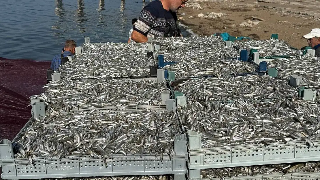 İznik Gölü'nde tarihi balık rekoru