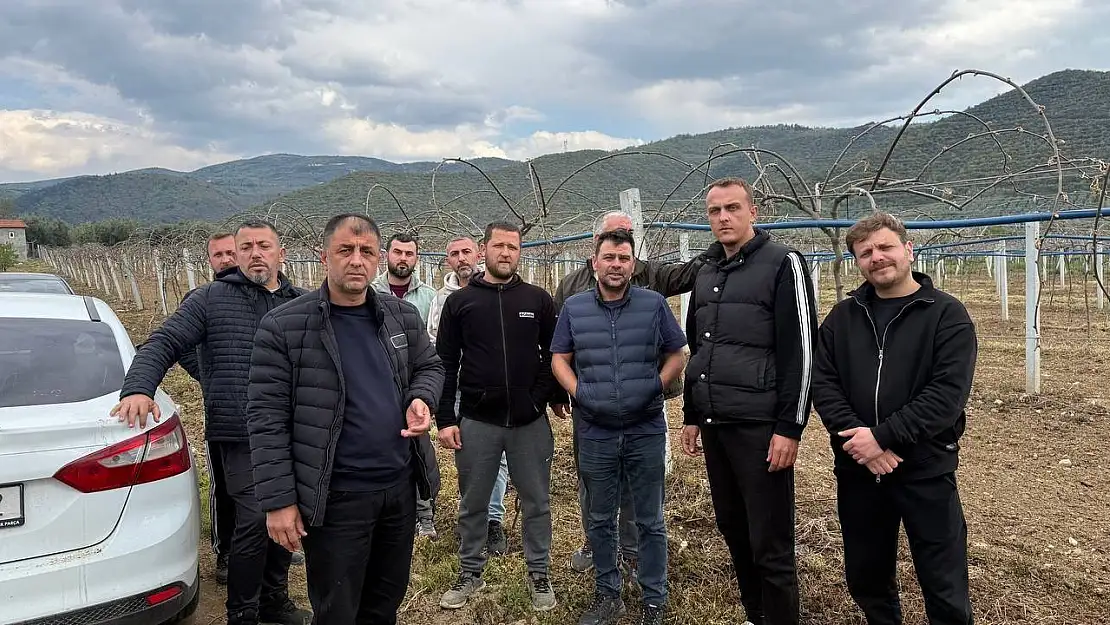 İznik Ovası'nı don vurdu