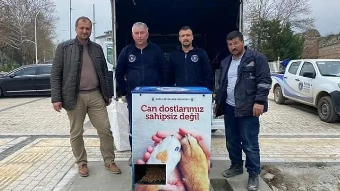 İznik'te can dostlarına yatırım devam ediyor