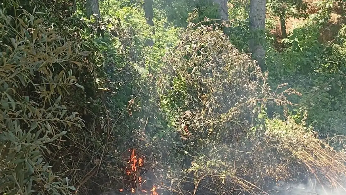 İznik'te orman yangını büyümeden söndürüldü