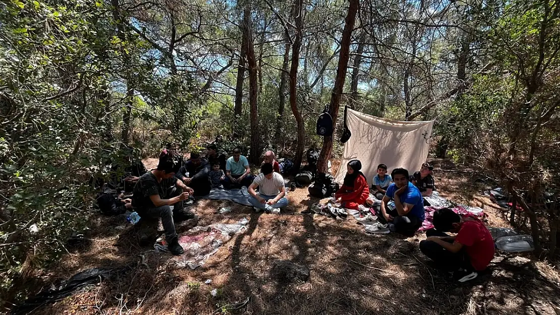 Jandarma 55 düzensiz göçmen ve 1 organizatörü yakaladı