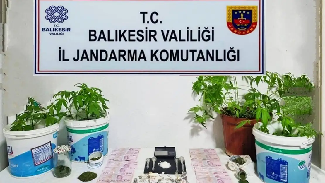 Jandarma'dan 6 ilçede uyuşturucu operasyonu