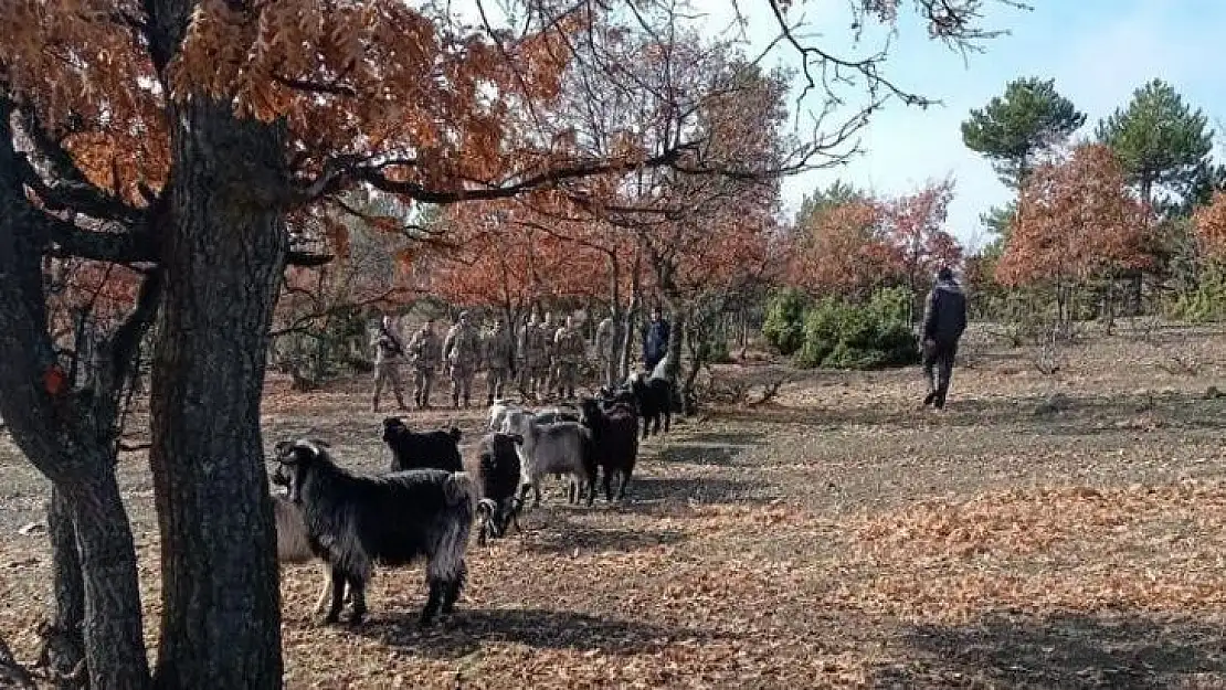 Jandarma ekipleri kaybolan 20 küçükbaş hayvanı drone desteğiyle buldu