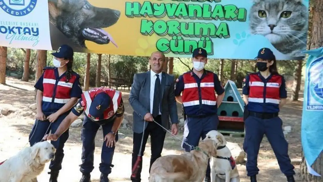 Jandarma Hayvanları Koruma Gününü unutmadı