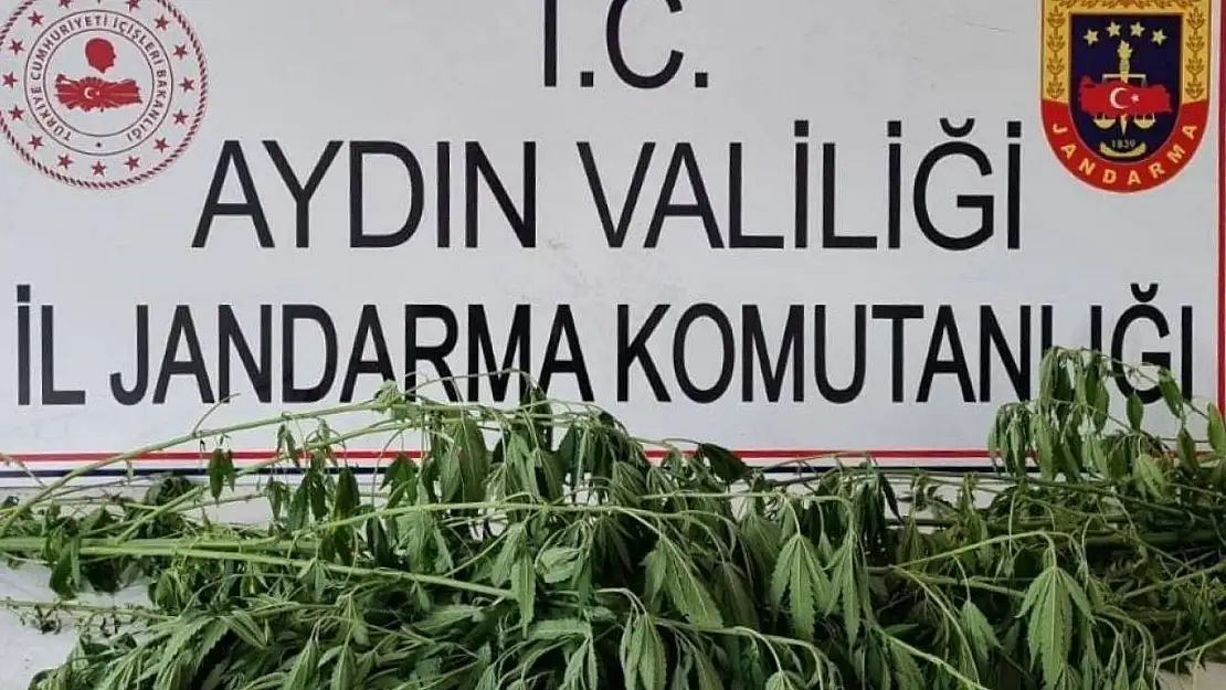 Jandarma uyuşturucuya geçit vermiyor: 5 gözaltı