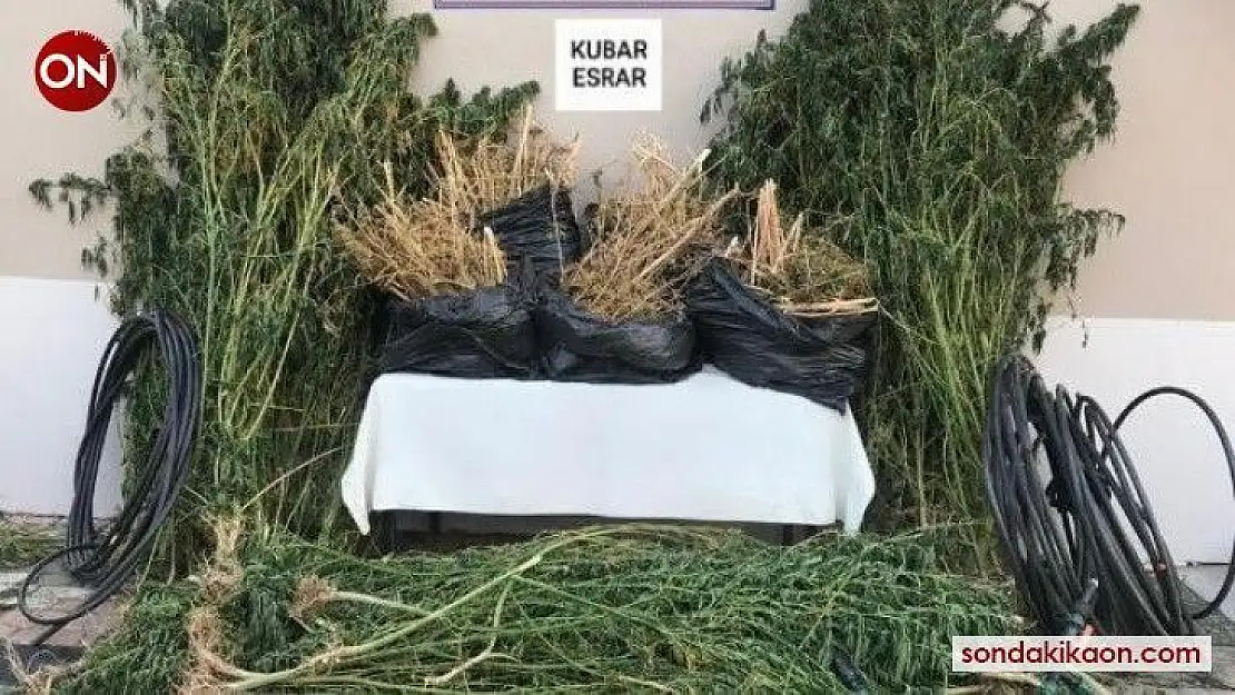 Jandarmadan 10 şahsa huzur operasyonu