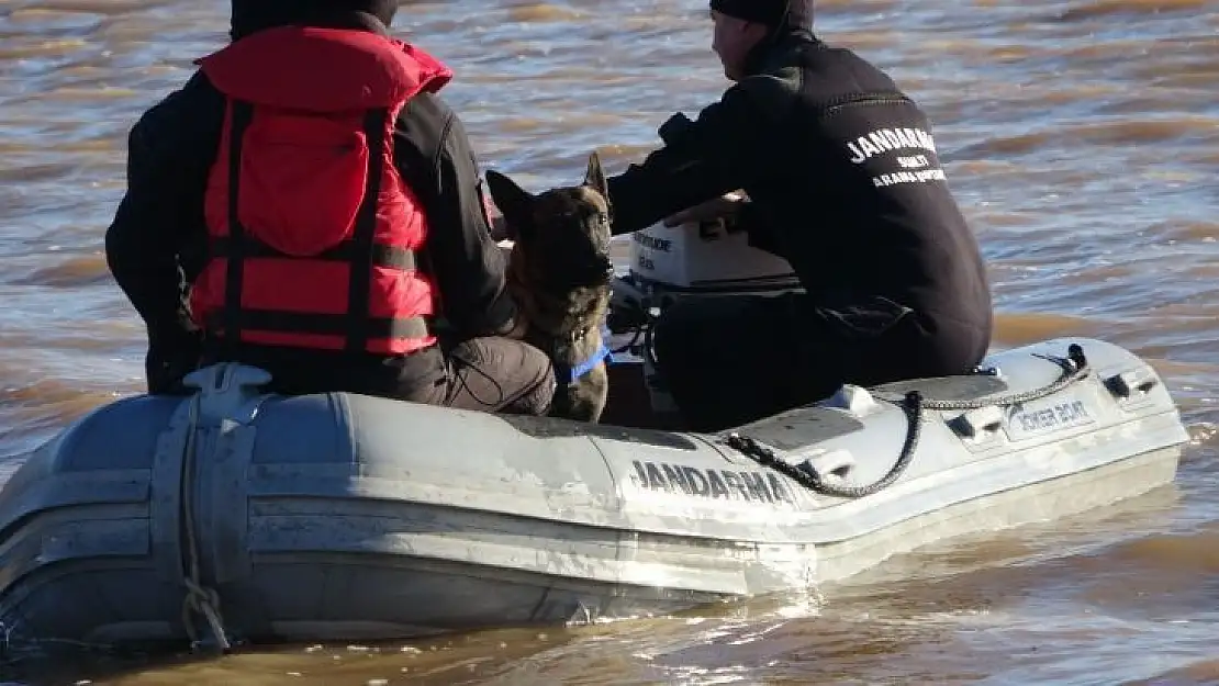 Jandarmanın kadavra köpekleri Çanakkale'de ilki başardı