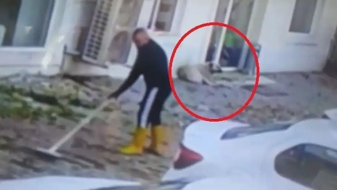 Kaldırımı temizlerken köpeğin saldırısına uğradı