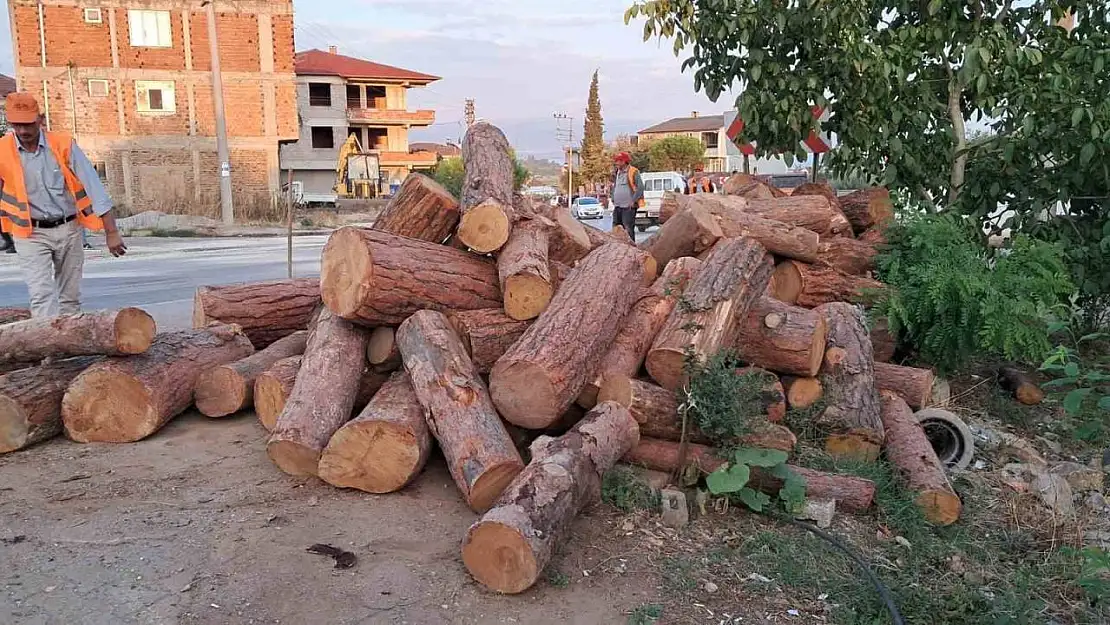 Kamyon virajı alamadı, tomruklar yola saçıldı