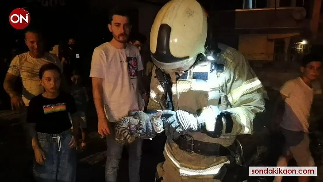 Kapı arasına sıkışan yavru kediyi itfaiye kurtardı