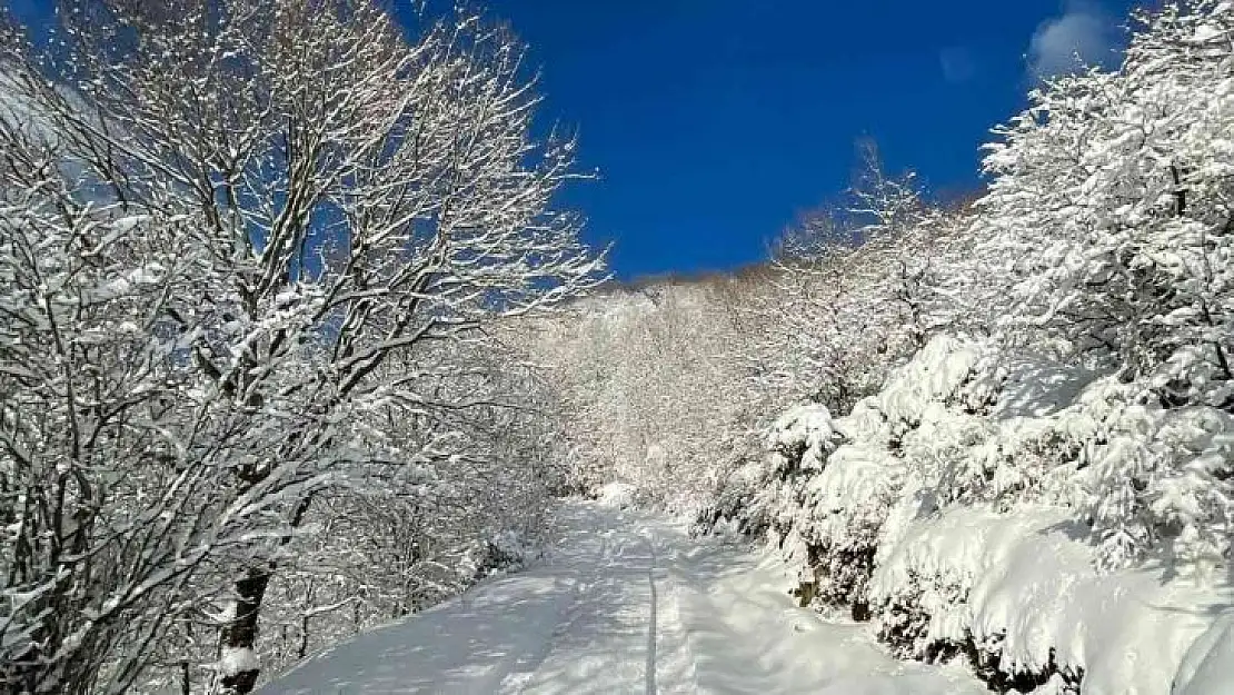 Kapıdağ beyaza büründü