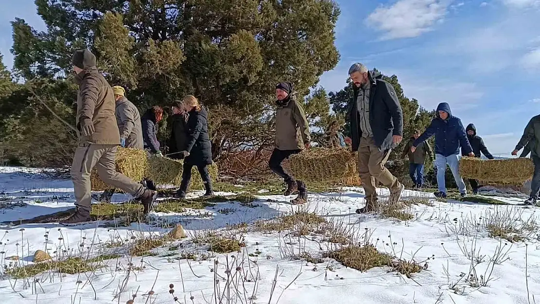 Kar altındaki Spil'de yaban hayatı unutulmadı