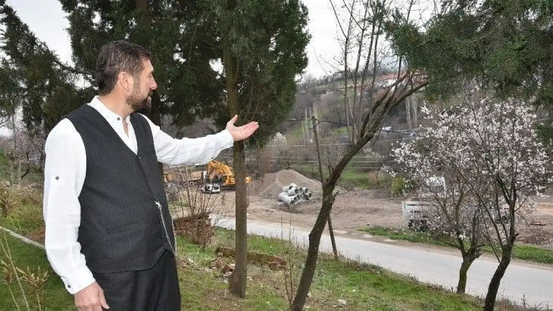 Kar ve don çiçek açan ağaçları etkiledi