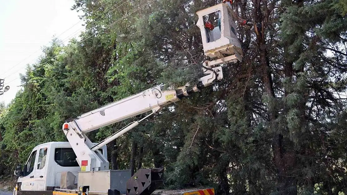 Karabağlar Yaylası'nda çevre düzenleme çalışmaları devam ediyor