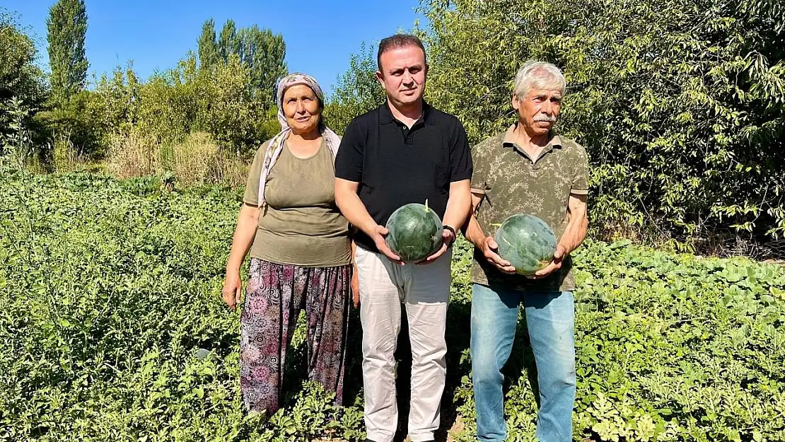 Karabağlar Yaylası'nda tarımsal projeler yerinde incelendi