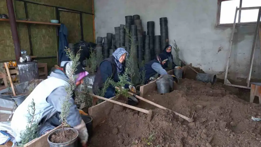 Karacabey Belediyesi'nden doğaya saygılı estetik çalışmalar