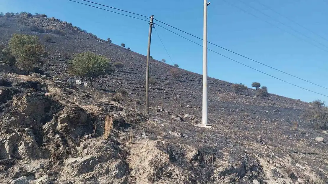 Karpuzlu'daki makilik yangın kontrol altına alındı