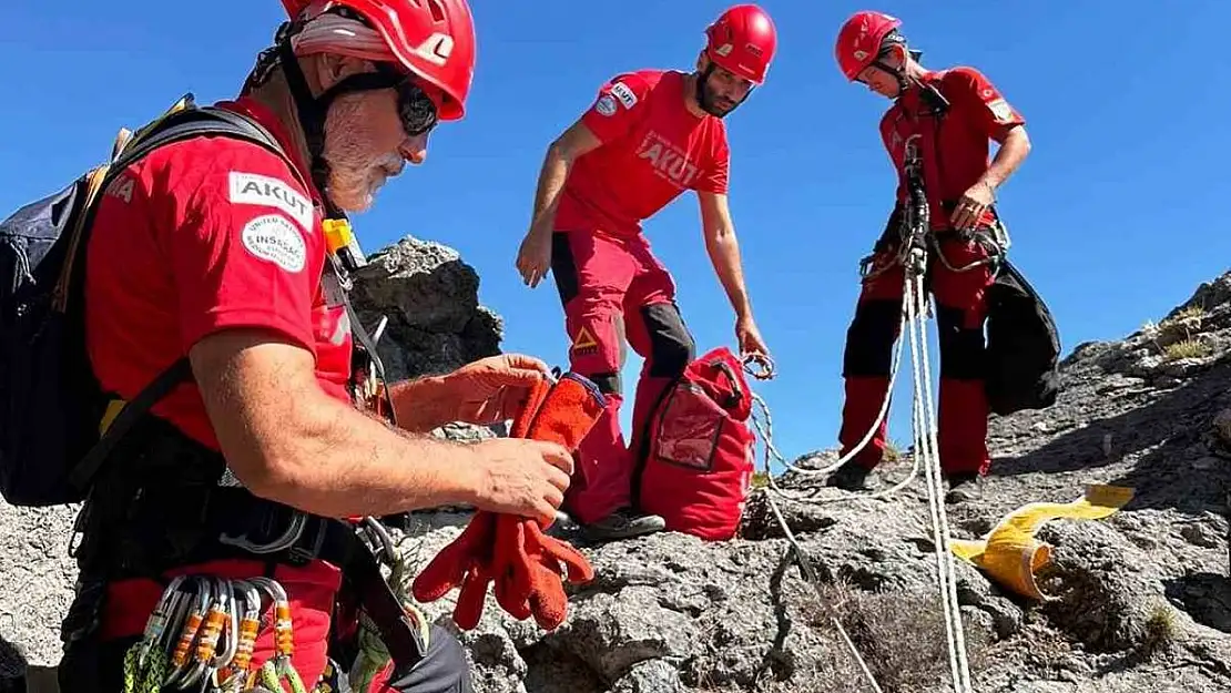 Kayalıklarda mahsur kalan kediyi AKUT ekipleri kurtardı