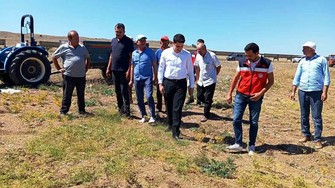 Kaymakam Gedik, nohut hasat kontrollerine katıldı